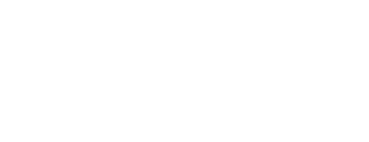 Flank Array Sonar